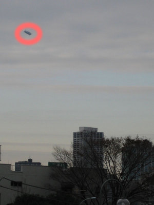 shinagawa4.jpg
