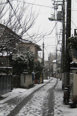 080224_snow.jpg