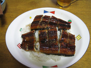unagi.jpg