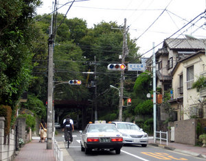 sakurazaka1.jpg