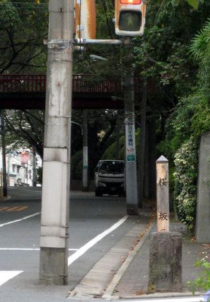 sakurazaka2.jpg