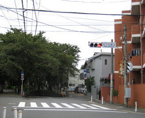sakurazaka4.jpg