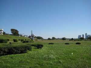 tamagawa.jpg