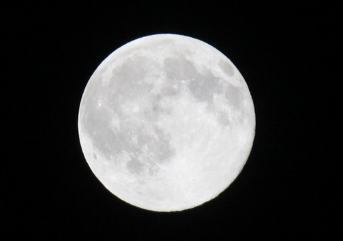 moon.jpg