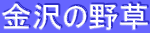 ̖쑐